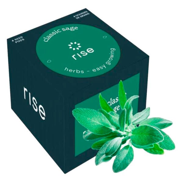 Rise Gardens Classic Sage, Pack of 4 School Specialty